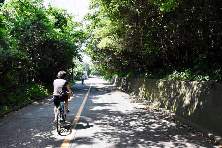 式根島 サイクリング