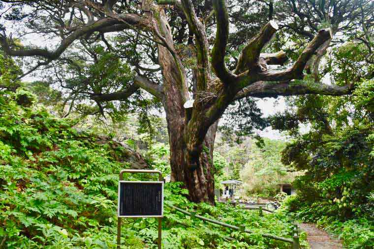 式根島法光山・東要寺