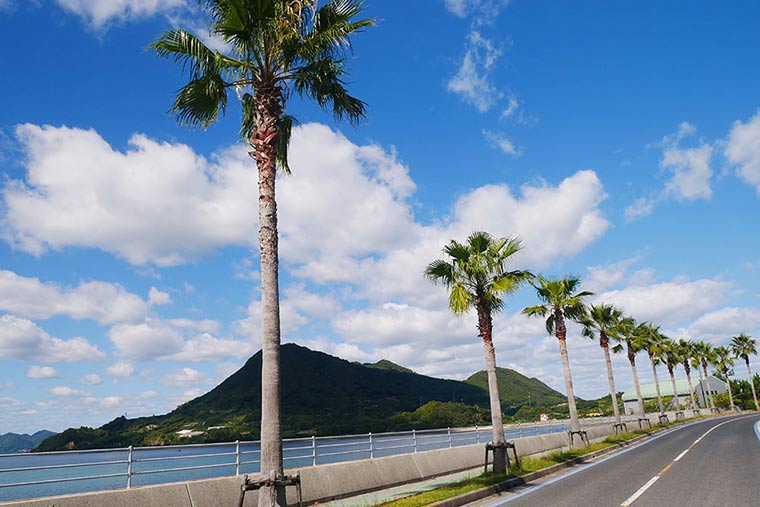 生口島のサイクリングロード