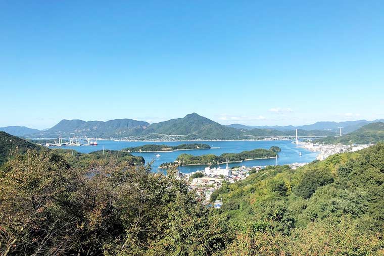 ホテルいんのしま見える景色