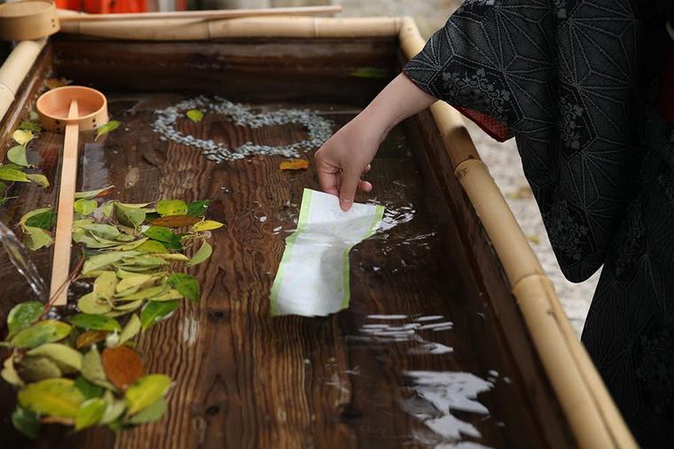 下鴨神社の水みくじ
