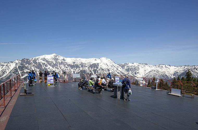 展望台から見える絶景