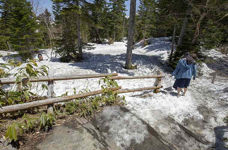 千石園地と呼ばれる散策路