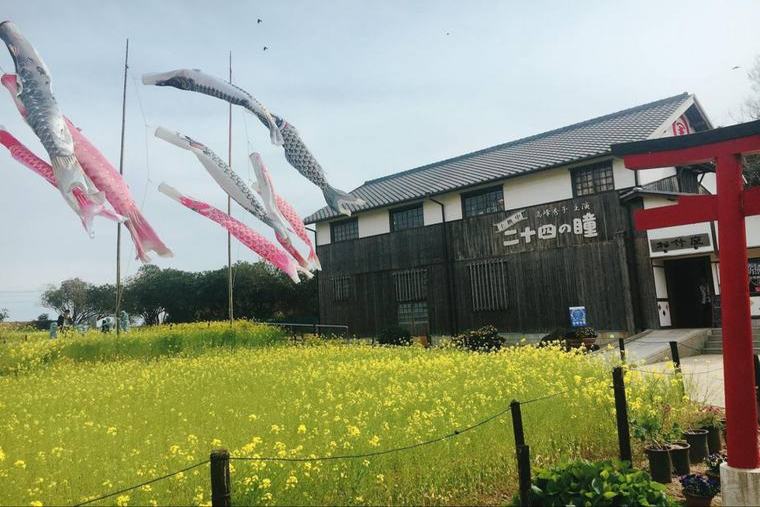 二十四の瞳映画村に広がる花畑