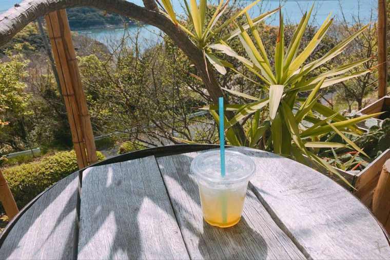 moksha coffee standのキウイ酵素ジュース