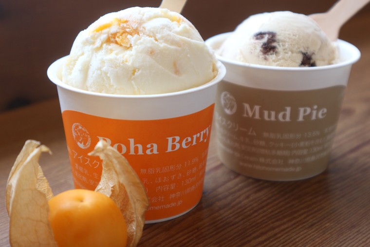 手前にあるのがポハベリーの実