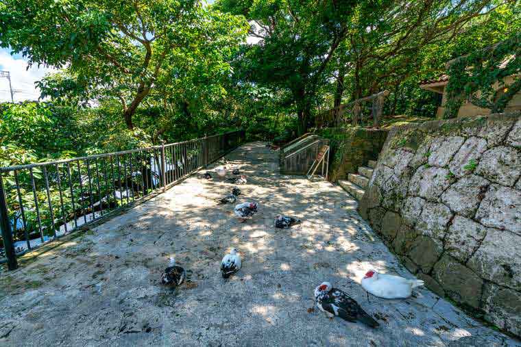 首里城公園　龍潭