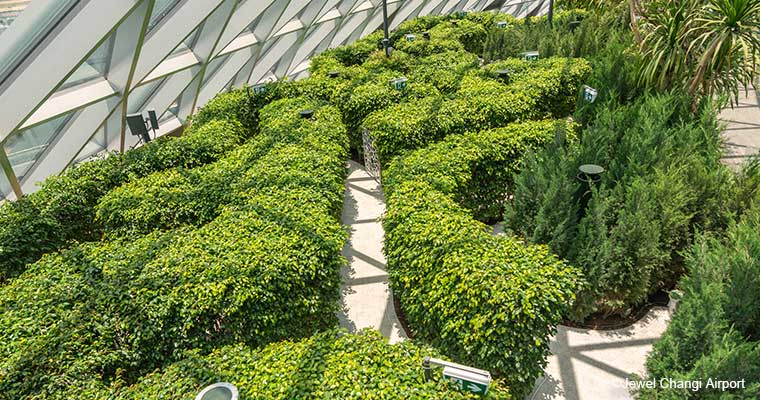 キャノピーメイズ