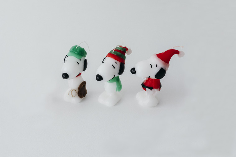 南町田　スヌーピーミュージアム