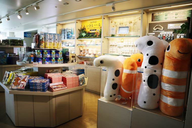 サンシャイン水族館　「ショップ アクアポケット」