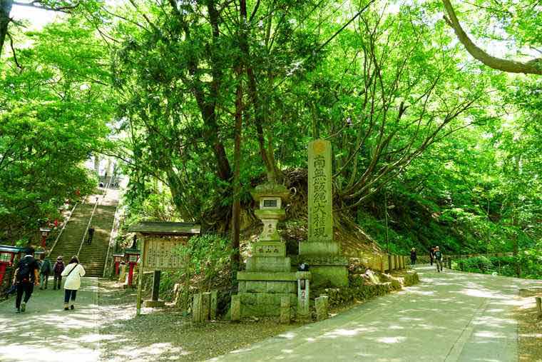 高尾山薬王院　男坂　女坂