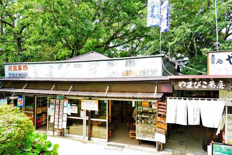 高尾山頂　とろろそば