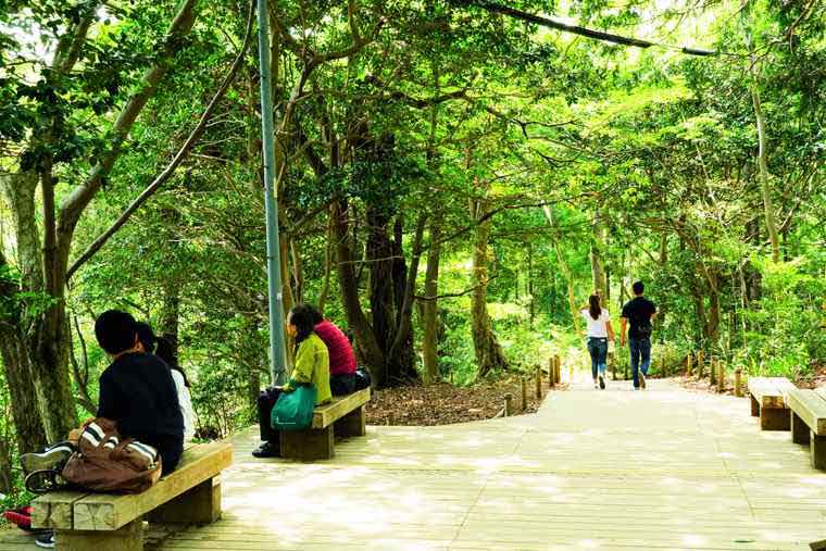 高尾山　登山　混雑回避