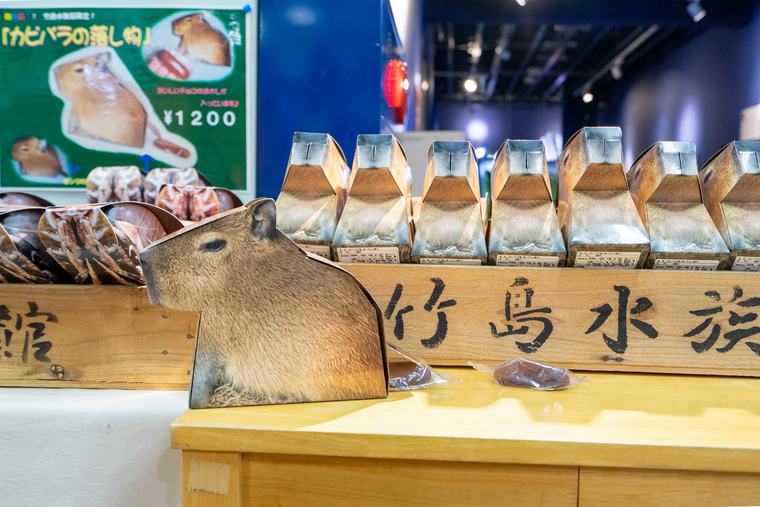 竹島水族館　お土産「カピバラの落とし物」