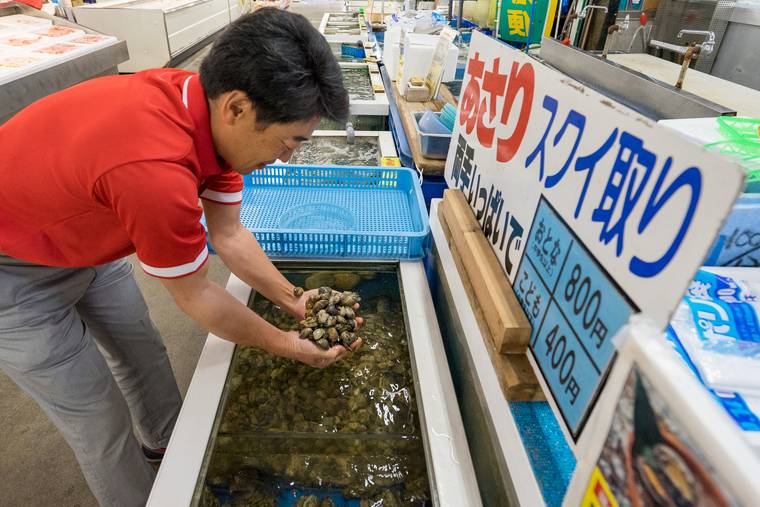 蒲郡海鮮市場　あさりのスクイ取り