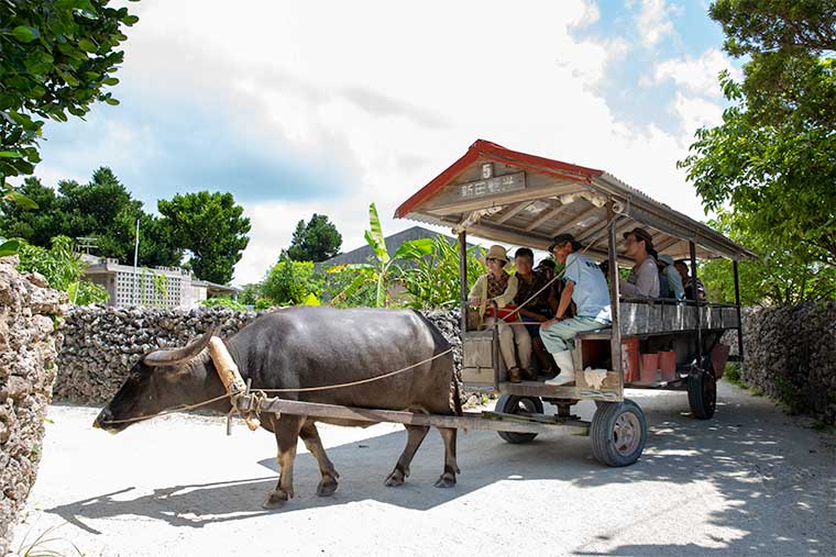 竹富島の水牛車