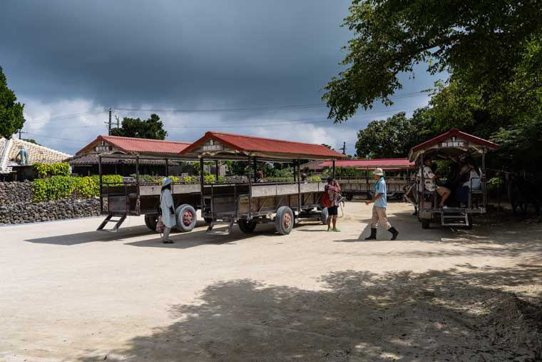 水牛車で集落散策