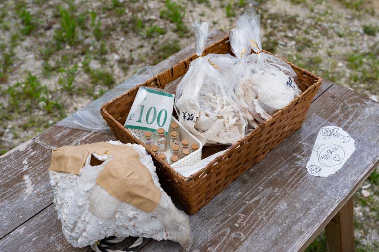 竹富島の星の砂直売所