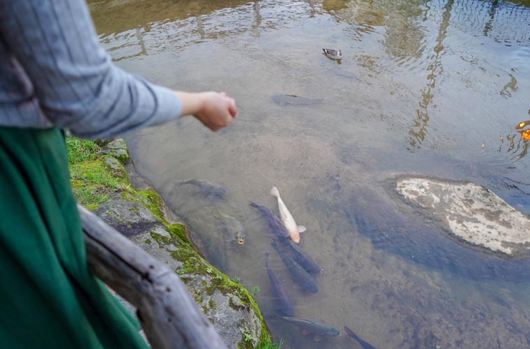 湯閼伽の井戸（恋恋井戸）