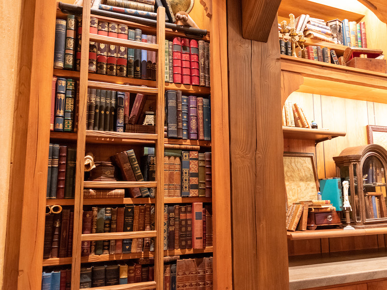 TDL 東京ディズニーランド 新エリア