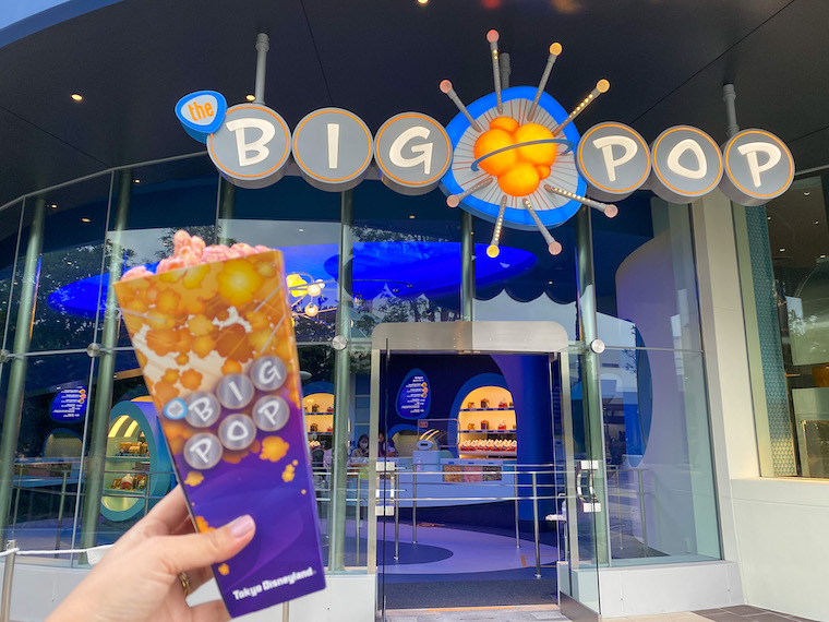 TDL 東京ディズニーランド 新エリア