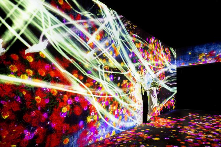 チームラボボーダレスお台場