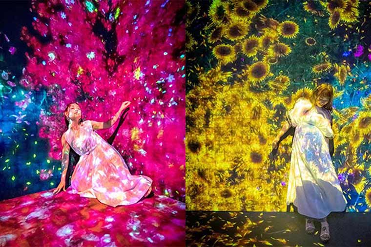 チームラボボーダレスお台場