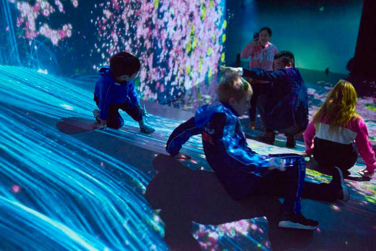 チームラボボーダレスお台場