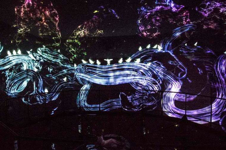 チームラボボーダレスお台場