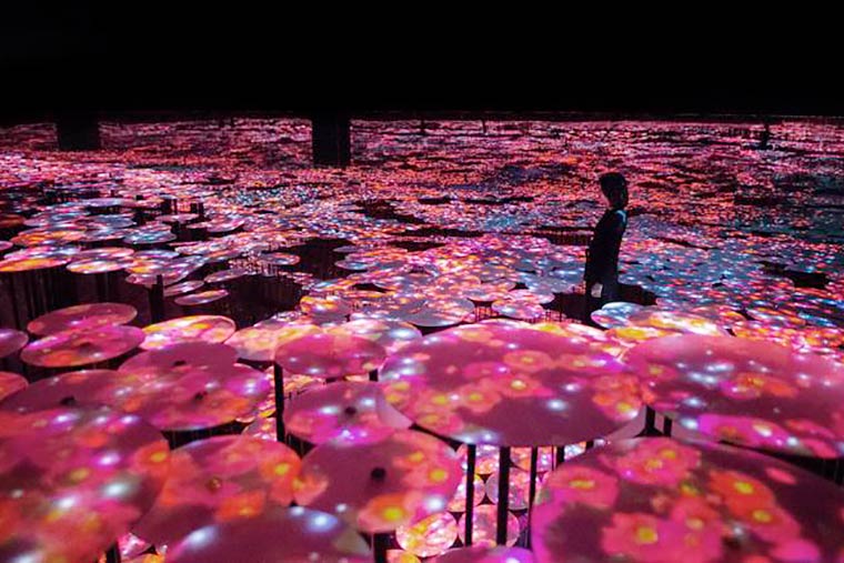 チームラボボーダレスお台場