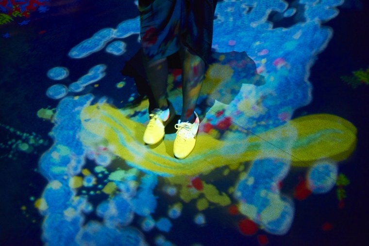 チームラボボーダレスお台場