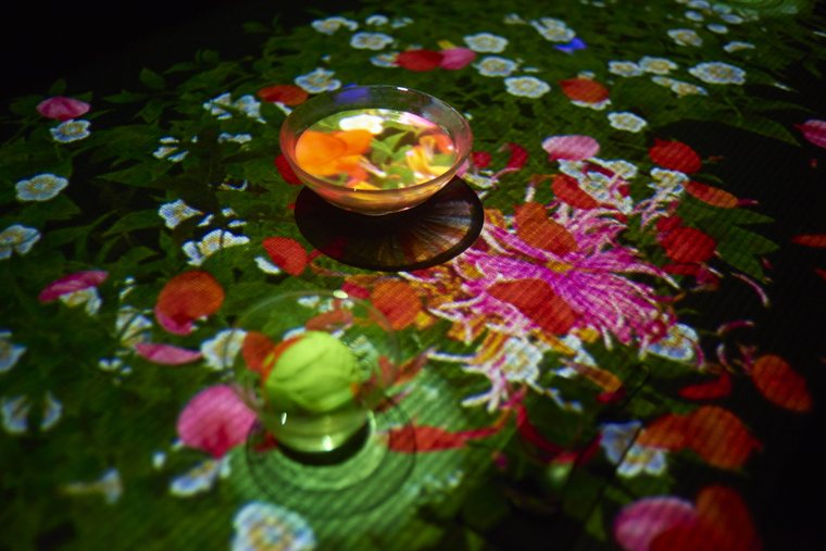 チームラボボーダレスお台場