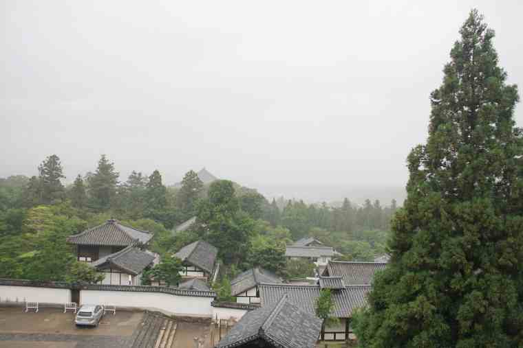 東大寺　二月堂　良弁杉