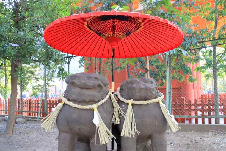 浅草神社　夫婦狛犬
