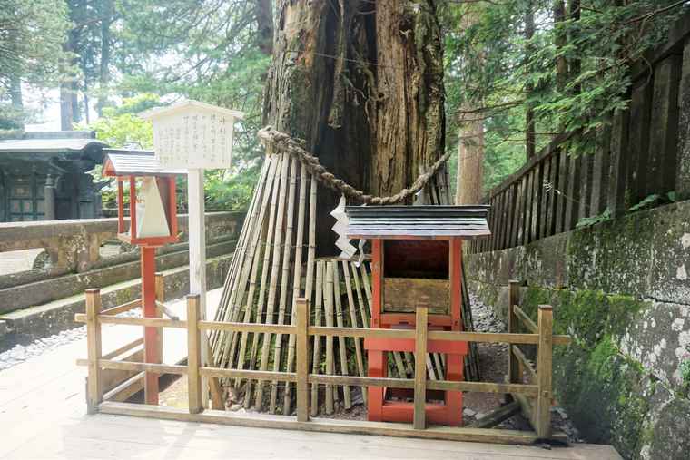 日光東照宮 奥宮 御宝塔「叶杉」