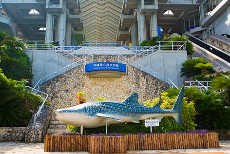 美ら海水族館正面玄関