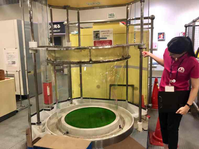 つくばエキスポセンター