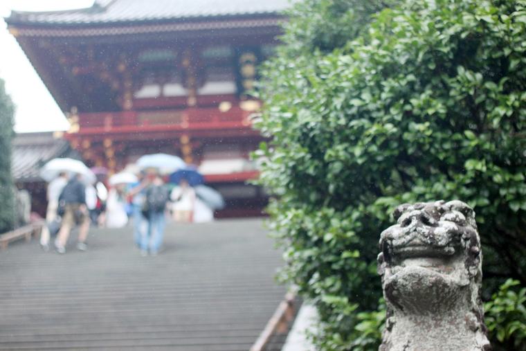 鎌倉　鶴岡八幡宮