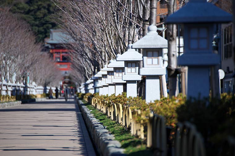鶴岡八幡宮　若宮大路