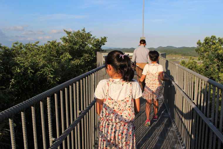 ツインリンクもてぎ 「樹冠タワー」ガイドツアー