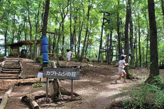 ツインリンクもてぎ 森