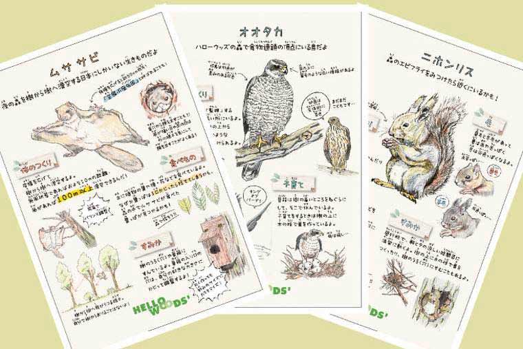 ツインリンクもてぎ 生きものポストカード