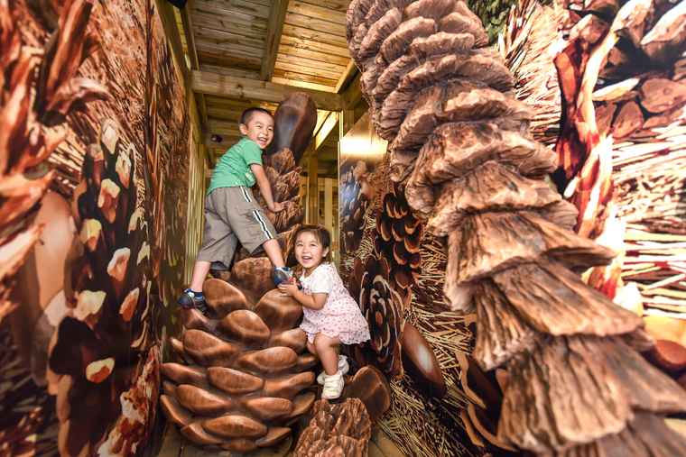 ツインリンクもてぎ 迷宮森殿ITADAKI