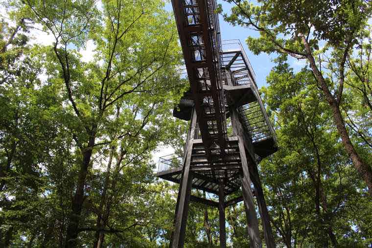 ツインリンクもてぎ 「樹冠タワー」ガイドツアー