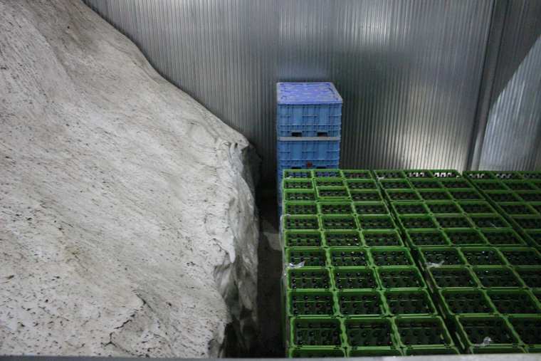 魚沼の里　八海山雪室