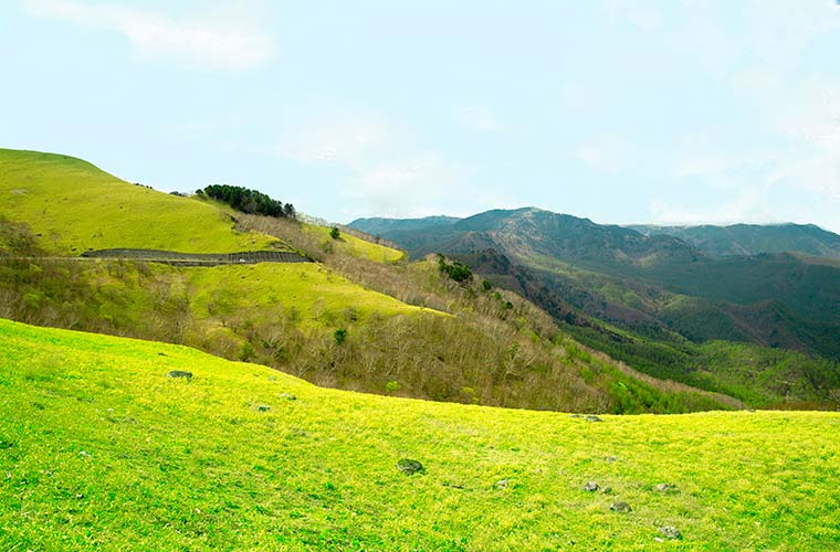 ビーナスラインをドライブ