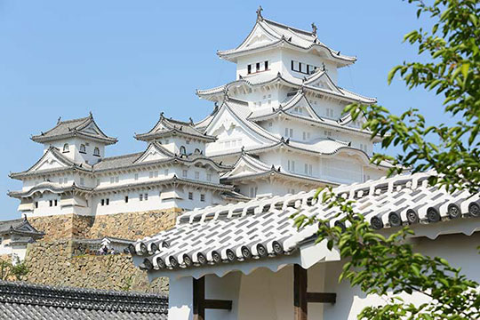 純白の天守に近づくほどに白鷺城の名前の意味を実感