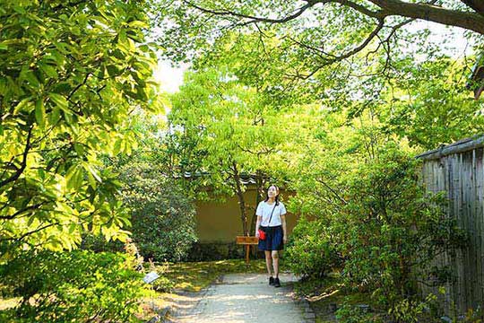 手入れの行き届いた庭園内には四季折々の木々や花が生い茂る