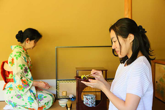 茶室・双樹庵での茶席のひとときも忘れられない旅の思い出