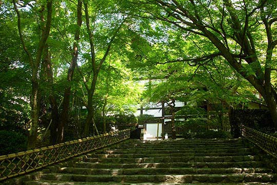 古都京都の文化財のひとつに登録されている